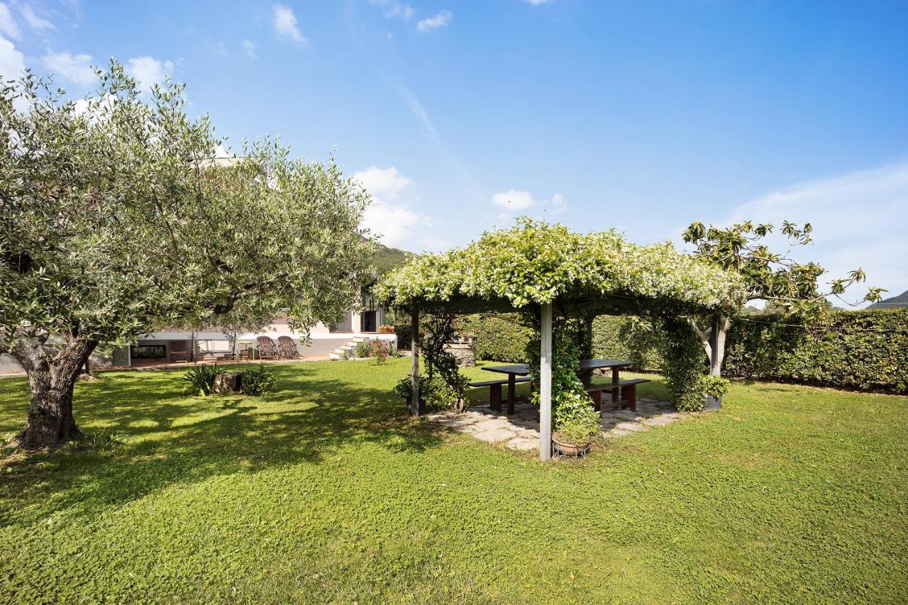 Mansarda Albero Verde Con Piscina Casanova Lerrone Exterior foto