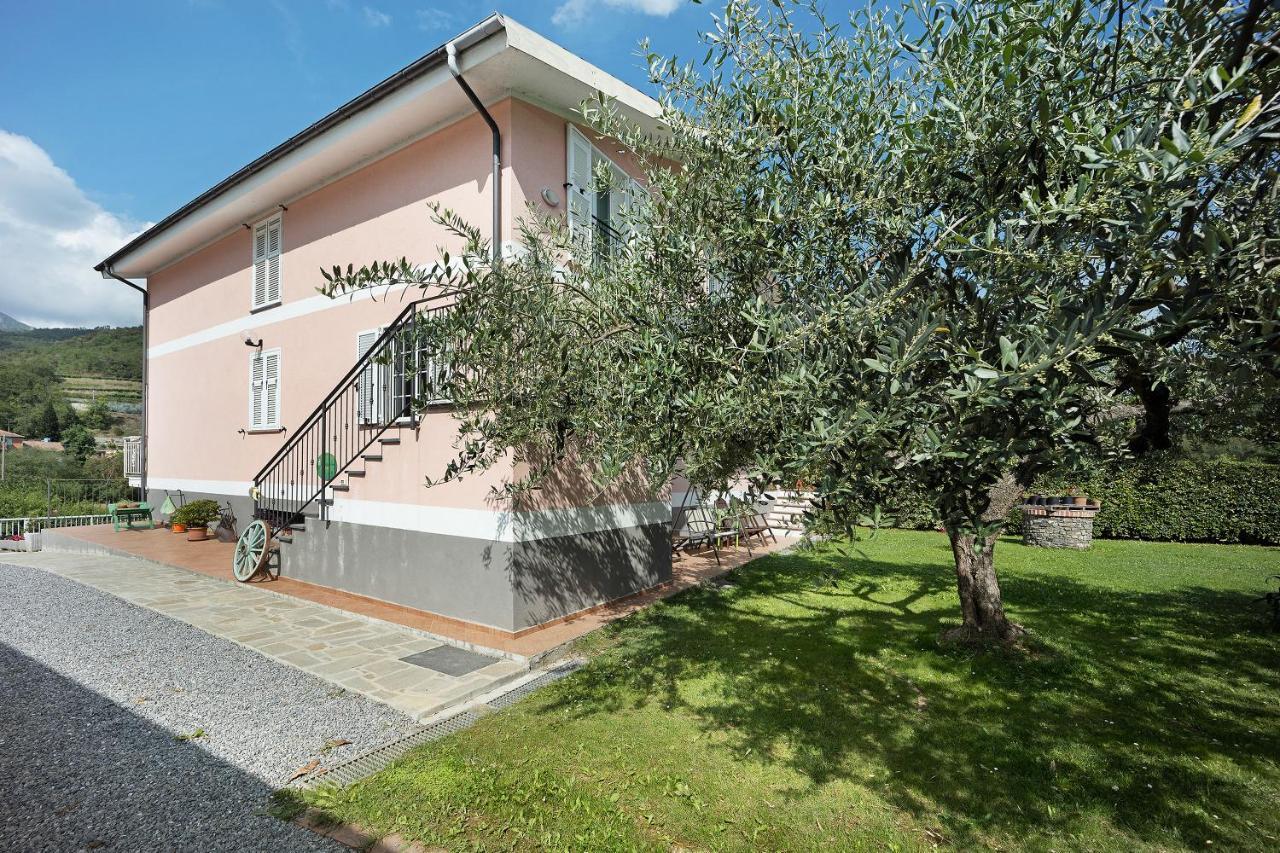 Mansarda Albero Verde Con Piscina Casanova Lerrone Exterior foto